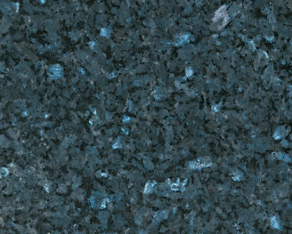 Blue Labrador Claro