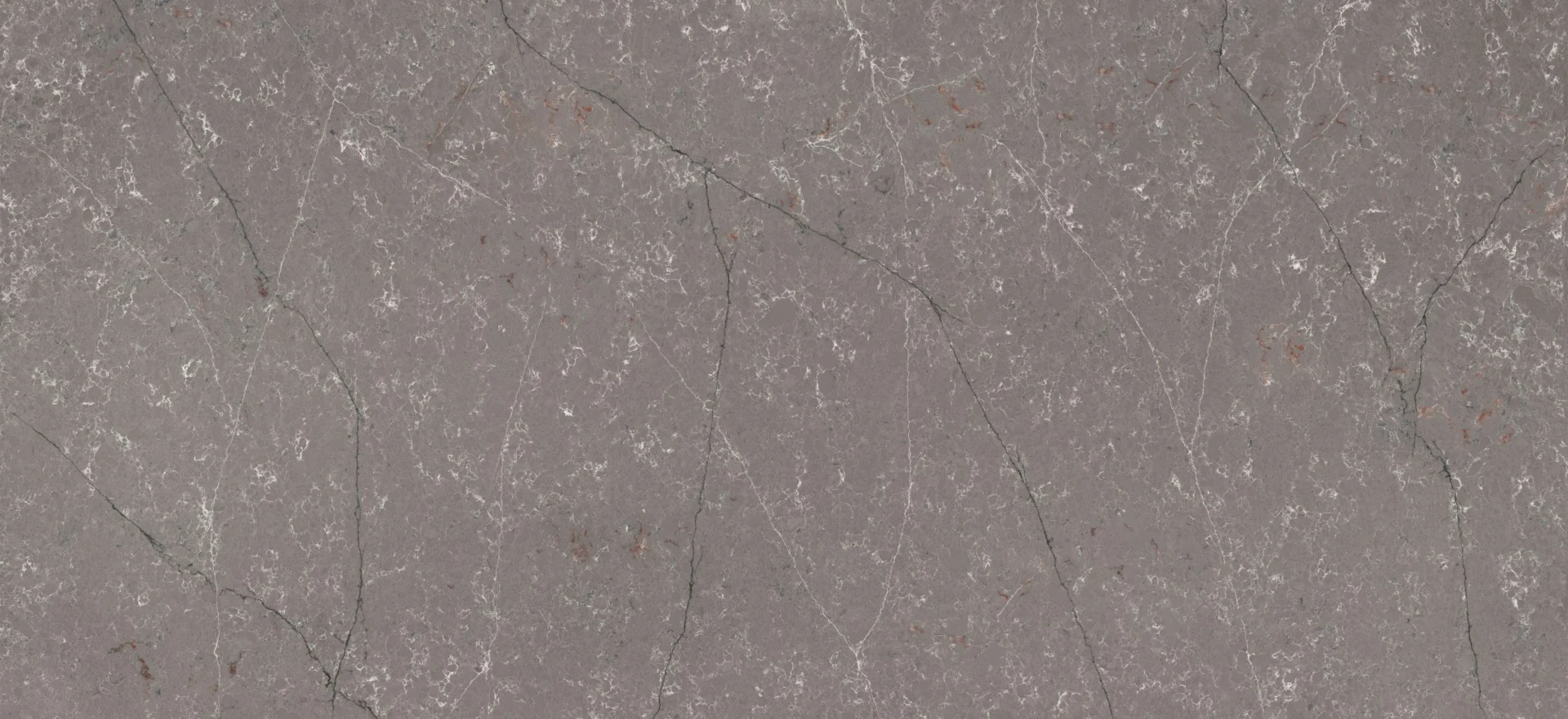 Forest_Garrigue_4020_slab