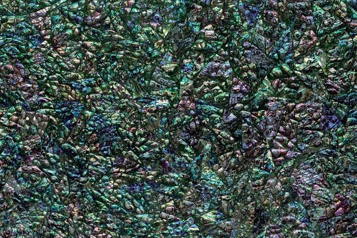 Green 3D Abalone Shell